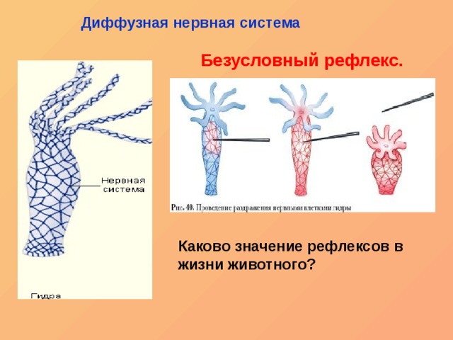 Кракен даркнет слушать